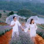 canh dong hoa lavender o da lat 150x150 - Những điều thú vị xoay quanh đường hầm đất sét Đà Lạt