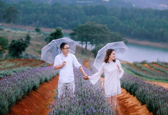 canh dong hoa lavender o da lat 550x377 - Địa điểm du lịch Đà Lạt - Review những điểm check-in "gây bão" hiện nay